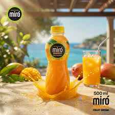 MIRO ORANGE JUICE 250 ML X 24 CT