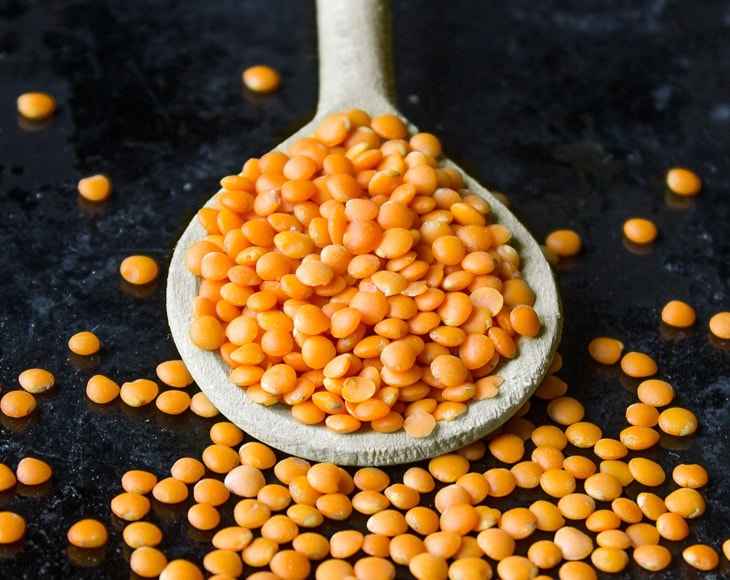 RED SPLIT LENTILS 55 LB