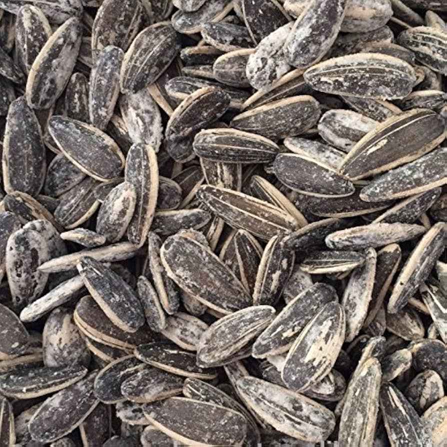 SUNFLOWER SEEDS ROASTED SALTED BULK 20 LB
