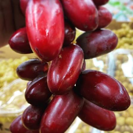 DATES RED BALAH 30 LB